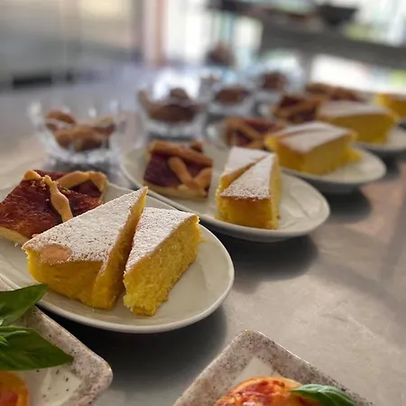 Lantgård Ca' Borghino Alba (Piedmont)