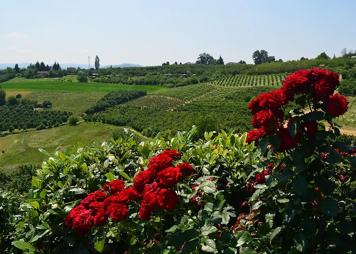 Ca' Borghino Alojamento de Turismo Rural *